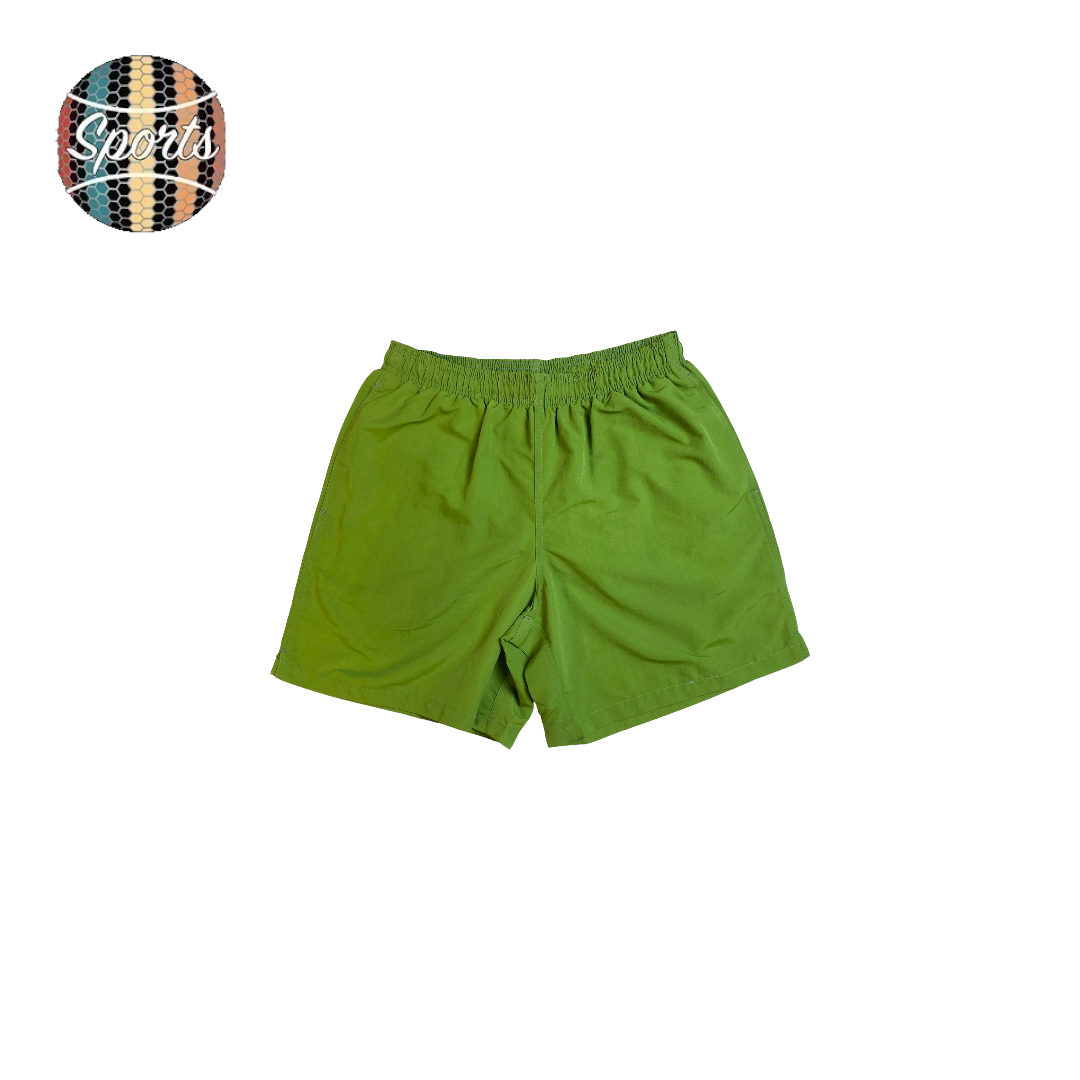 Mens sales stussy shorts