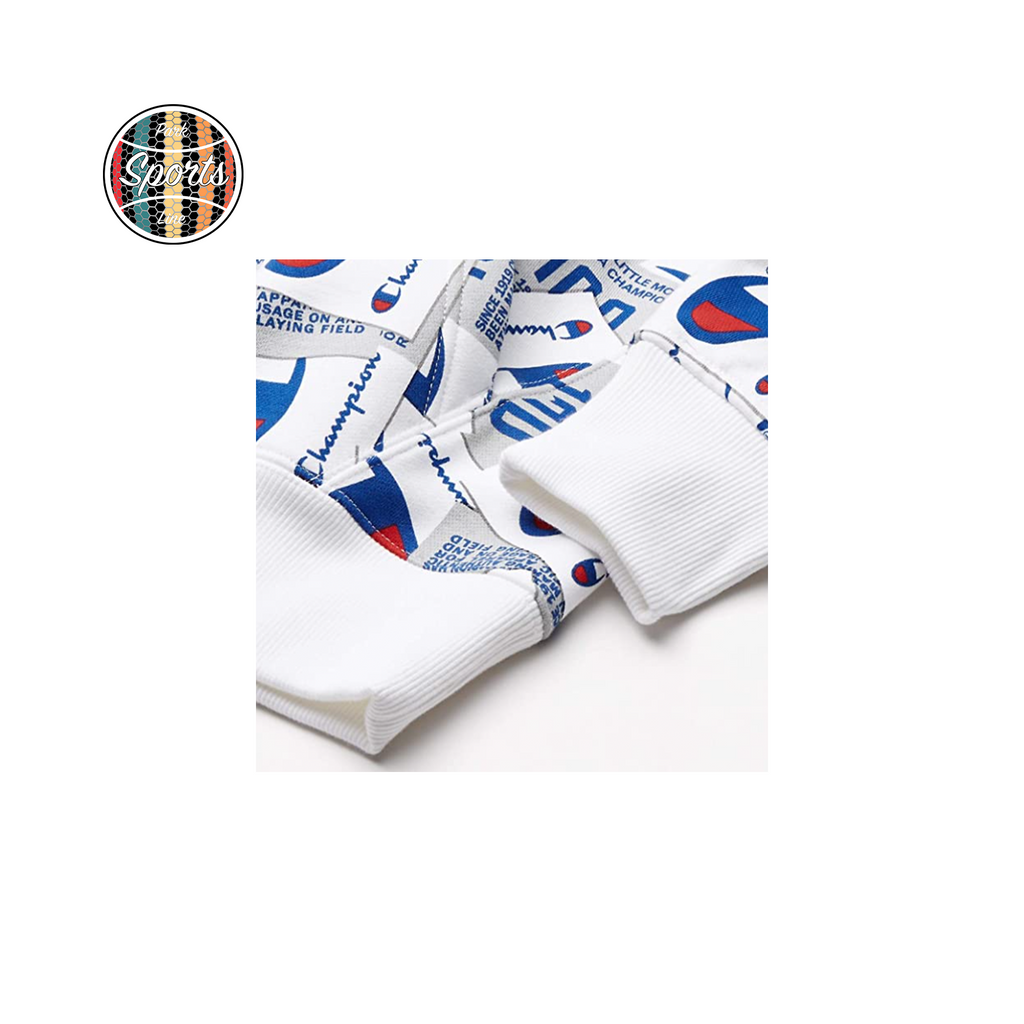 Champion Super Fleece 2.0 PO Hood Parks Sports Line